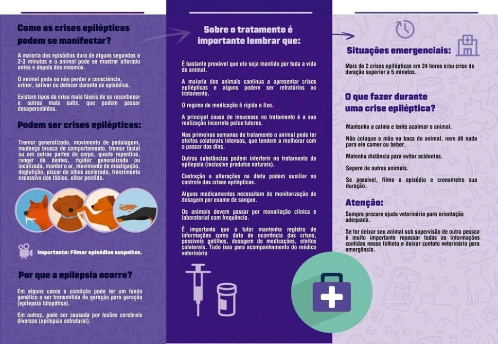 Convivendo com a epilepsia em pets