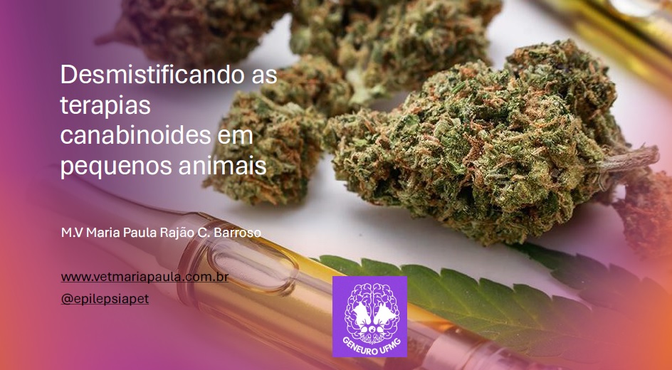 Canabinoides em cães e gatos: terapias veterinárias explicadas de forma ética